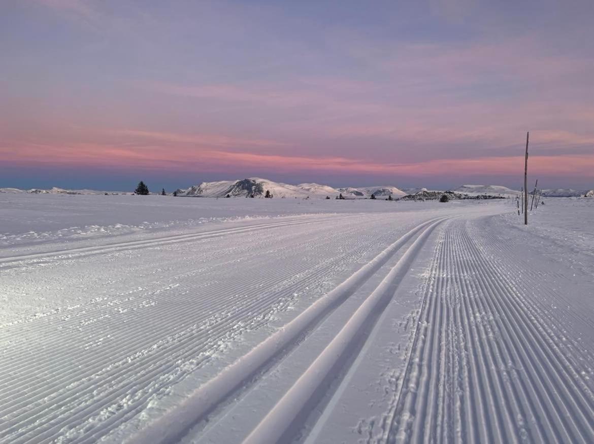 Golsfjellet - Bualie, Milevis Med Sykkelveier, Fiske Og Vannaktivitet, Ski Inn/Ut Til Alpinanlegg Og Langrennsloyper. Exterior foto