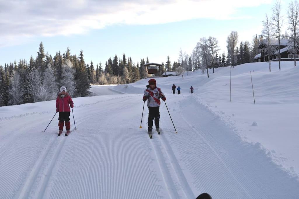 Golsfjellet - Bualie, Milevis Med Sykkelveier, Fiske Og Vannaktivitet, Ski Inn/Ut Til Alpinanlegg Og Langrennsloyper. Exterior foto